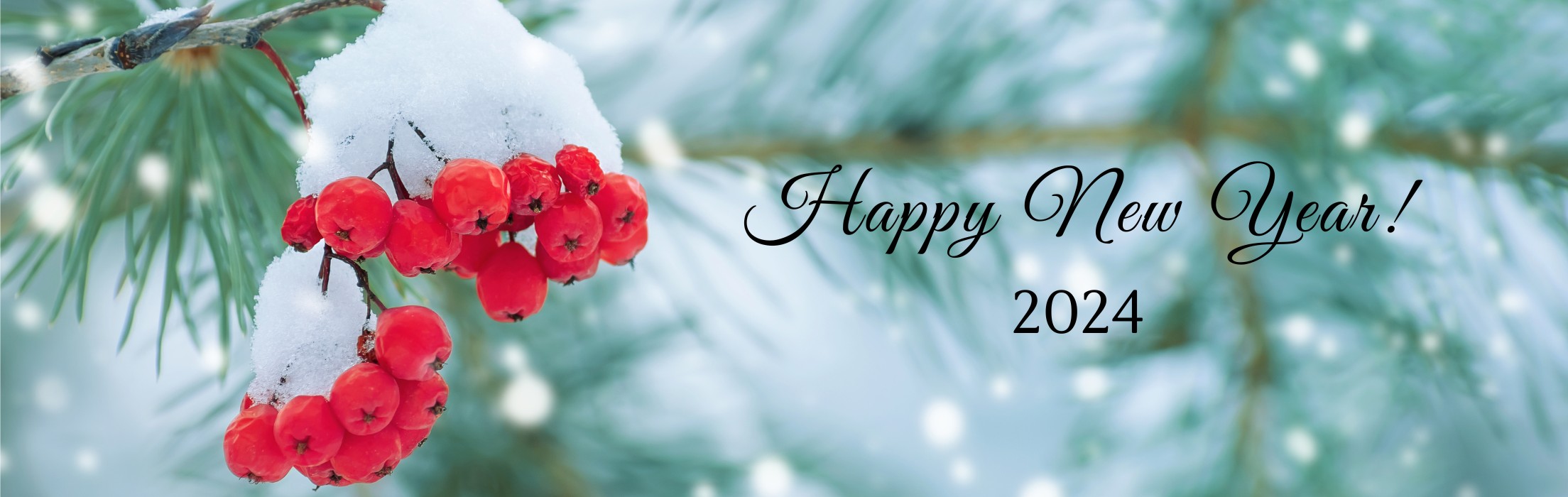 Beacon Business Bank homepage